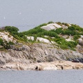 South Marble Island