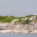 South Marble Island