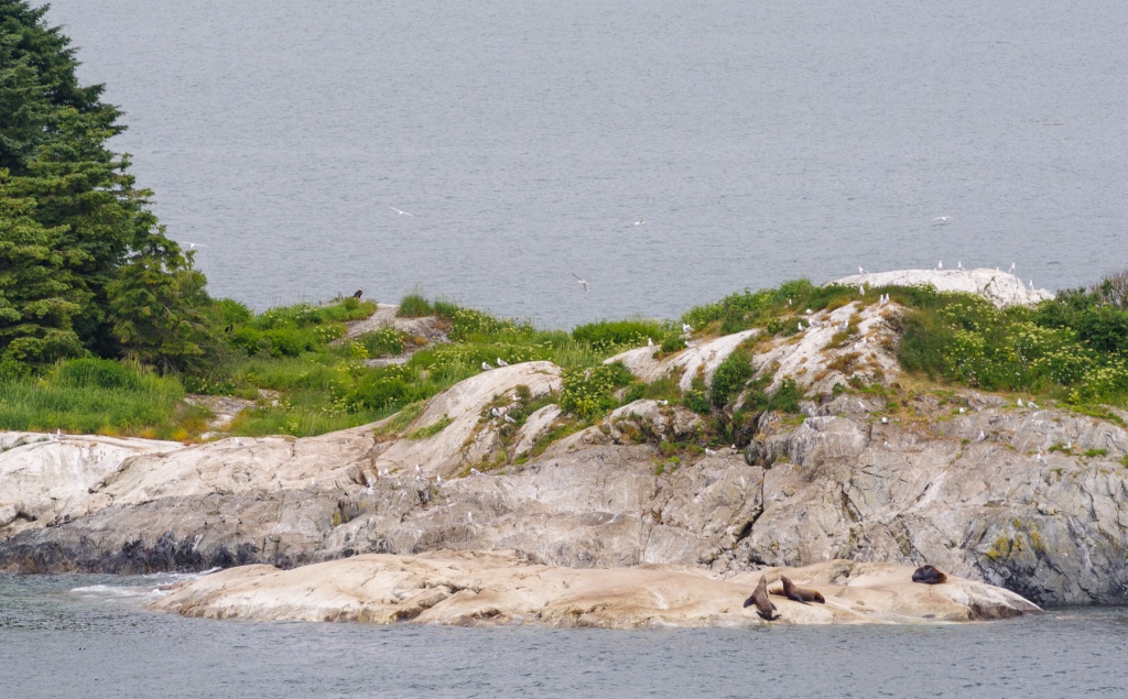 201806 Alaska-490 South Marble Island.jpg