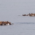South Marble Island