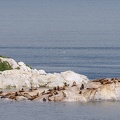 South Marble Island
