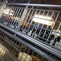 Tour of ship's galley