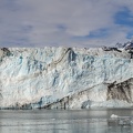 The wolf in the ice