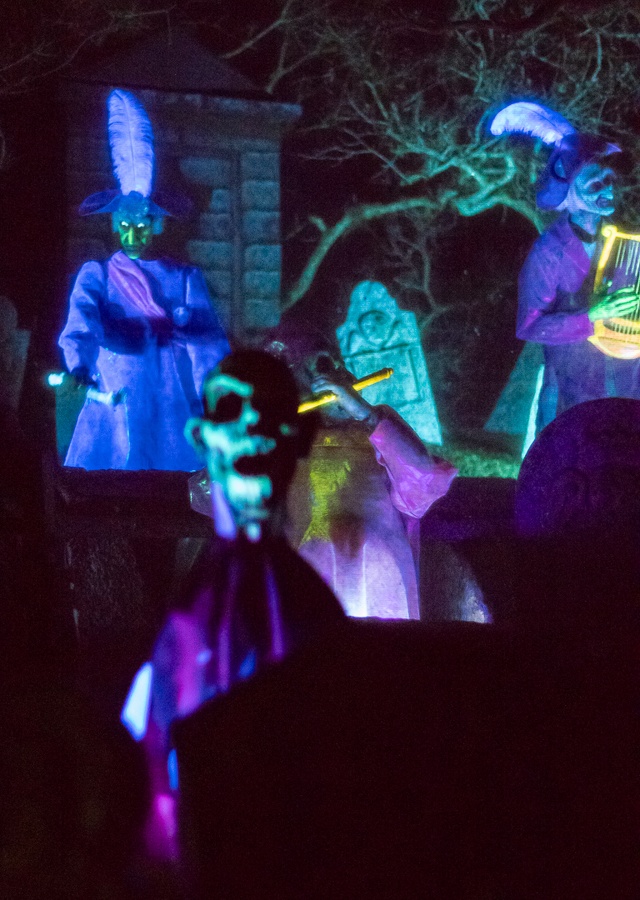 WDW201808-051_.jpg