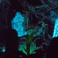 WDW201808-052 