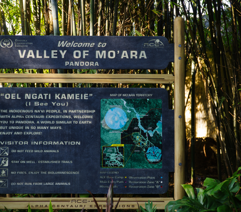 Welcome to Valley of Mo'ara