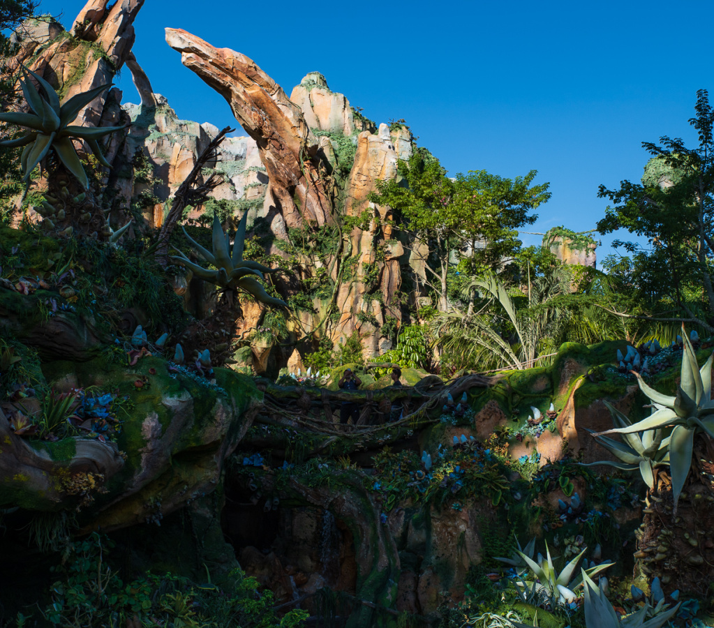 Flight of Passage outside queue