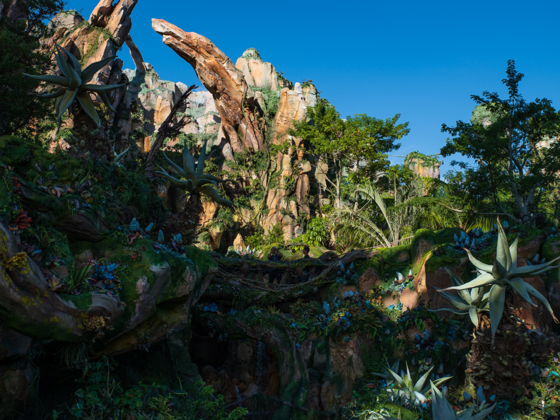 Flight of Passage outside queue