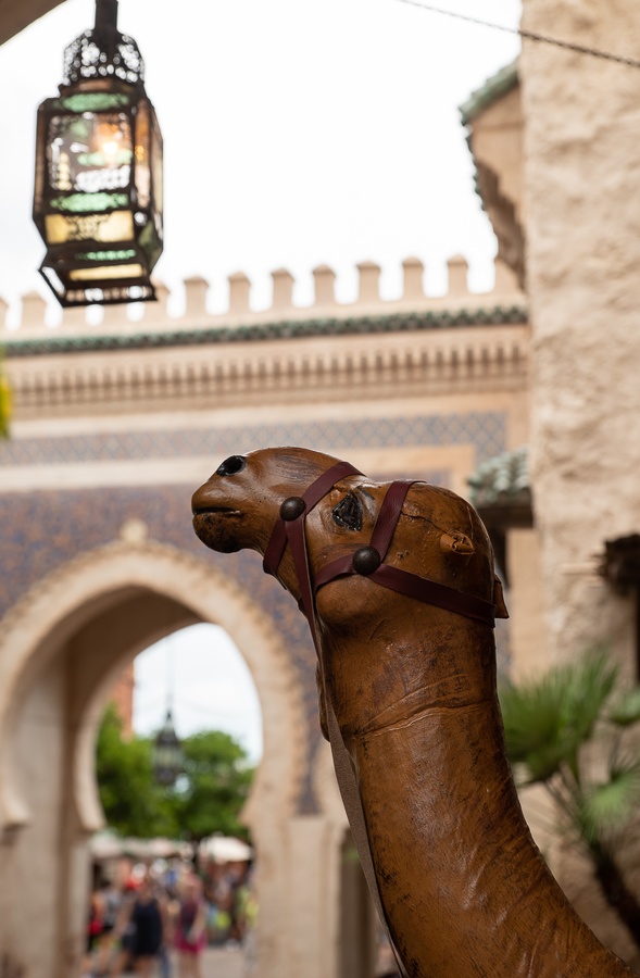 WDW201808-129 Camel without fez.jpg