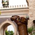 Camel without fez