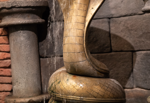 Kali River Rapids queue