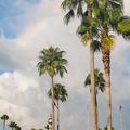 WDW201808-190 