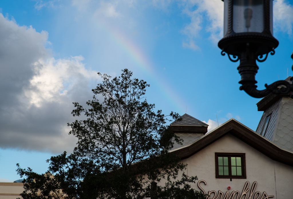 WDW201808-227 Rainbow.jpg