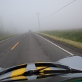 foggy morning