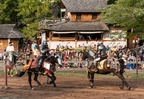 The Joust