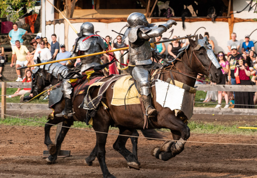 The Joust