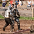 The Joust