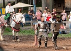 The Joust