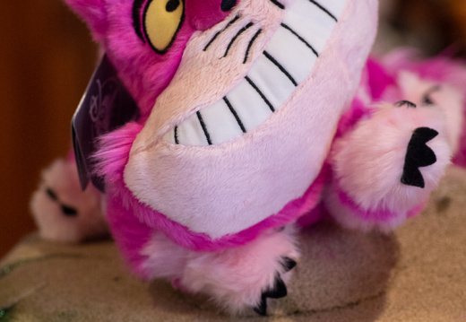 Cheshire Cat on mushroom