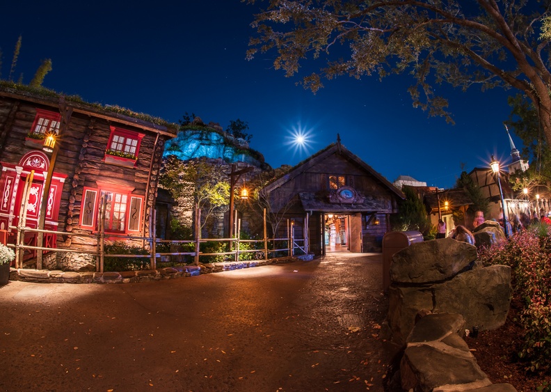 201901 WDW-098 The Wandering Reindeer in Norway at night.jpg