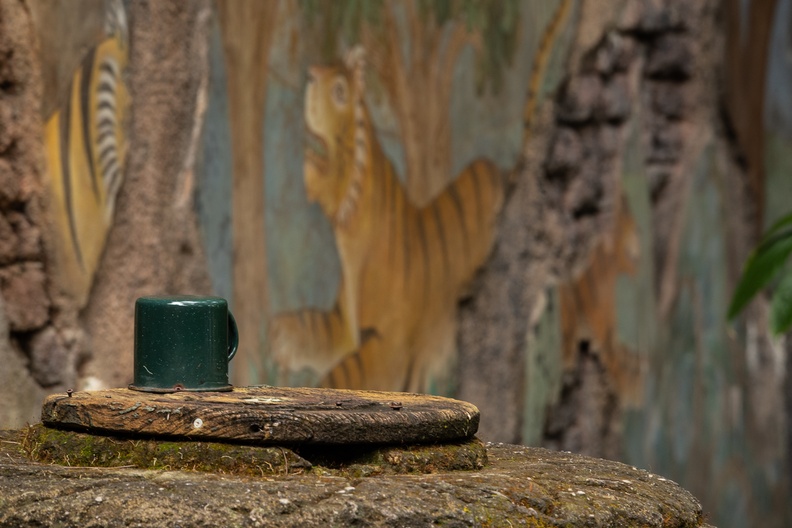 201901 WDW-178 Cup and mural.jpg