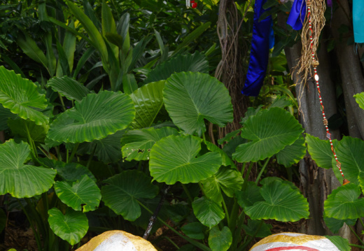 Decorations outside Up show