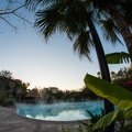Animal Kingdom Lodge pool