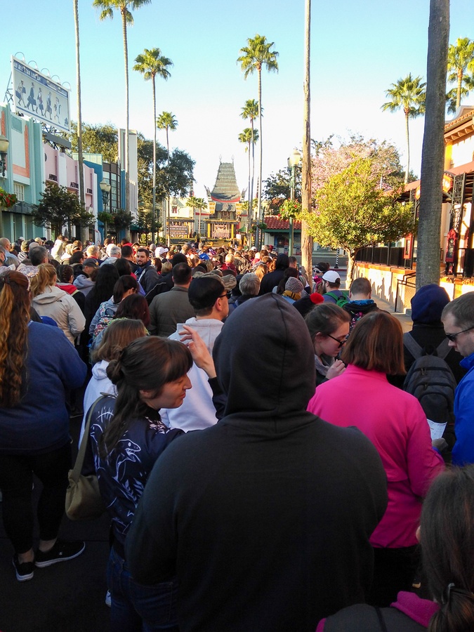 201901 WDW-223 Early morning crowds at Hollywood Studios.jpg
