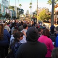 Early morning crowds at Hollywood Studios