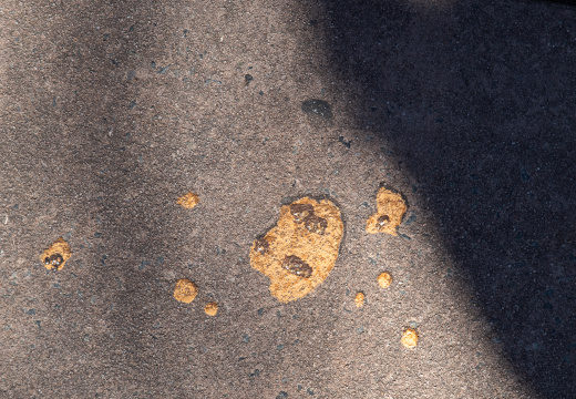 Jack-Jack's cookies on ground