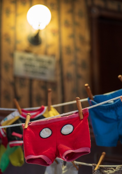 201901 WDW-269_.jpg