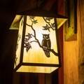 Wilderness Lodge lighting