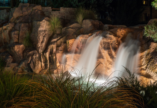 Behind Wilderness Lodge