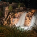 Behind Wilderness Lodge