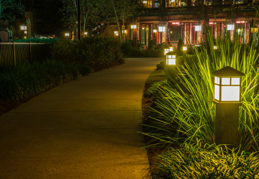 Behind Wilderness Lodge