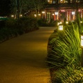 Behind Wilderness Lodge