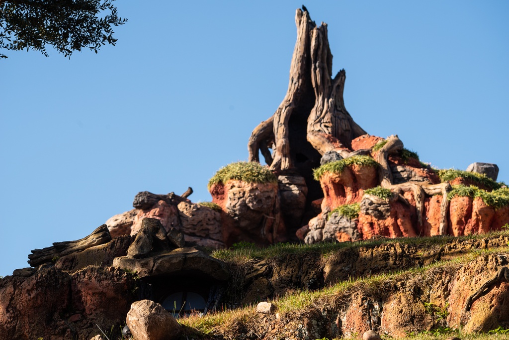 201901 WDW-330 Chickapin Hill.jpg