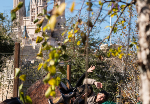 Seven Dwarfs through trees