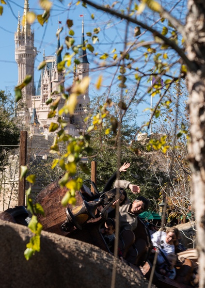 Seven Dwarfs through trees - 201901 WDW-338 Seven Dwarfs through trees.jpg 201901 WDW-338 Seven Dwarfs through trees.jpg