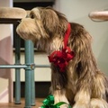 Carousel of Progress on-ride