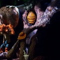 Splash Mountain on-ride