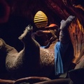 Splash Mountain on-ride