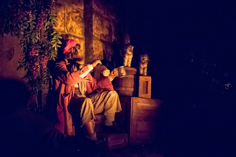 201901 WDW-404 Pirates on-ride.jpg
