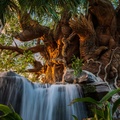 Tree of Life Garden
