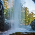 Tree of Life Garden