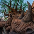 Tree of Life Garden