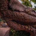 Discovery Island Trails
