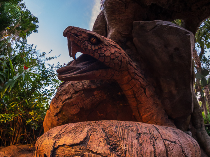 Discovery Island Trails