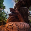 Discovery Island Trails