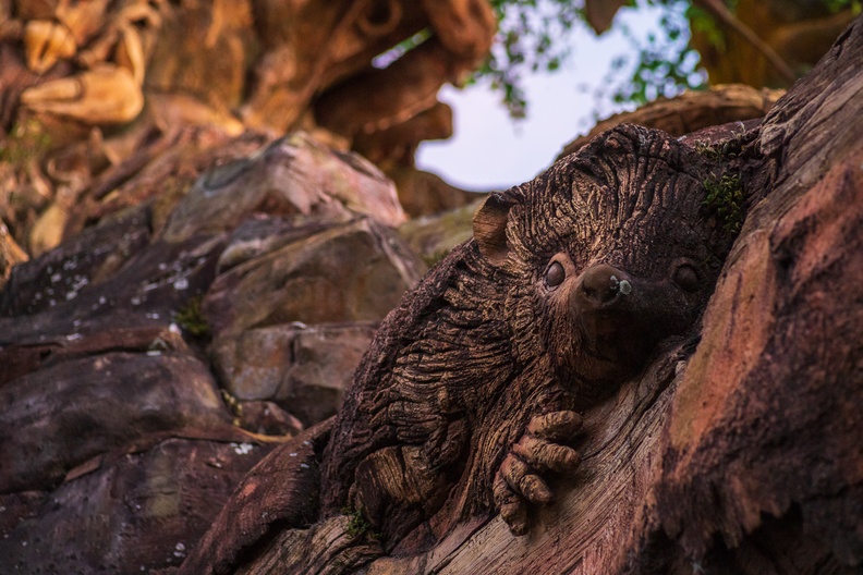 201901 WDW-436 Discovery Island Trails.jpg